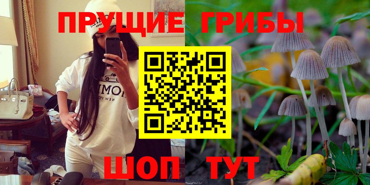 Псилоцибиновые грибы Psilocybine cubensis  Галлюциногенные грибы Cubensis  Прокопьевск  Вход с VPN 