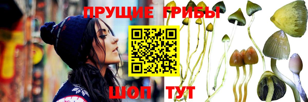 Лсд 25  ГАШИШ  Магазин наркотиков  Прокопьевск  Мефедрон кристаллы  Alpha-PVP СК   Каннабис  Cocaine  Вход с VPN 